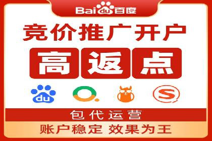 SEM搜索引擎优化：广告创意的策划与执行